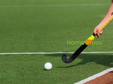 Hockey Grass 的图像结果