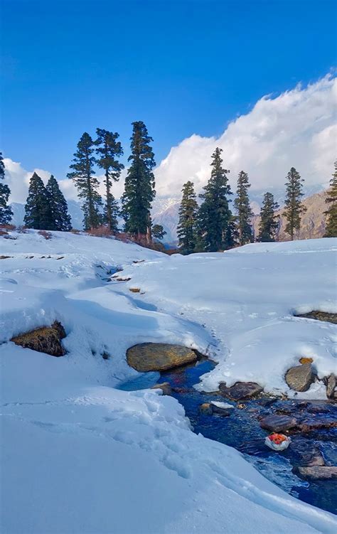 Gulabi Kantha Trek - Bookings Open for 2026