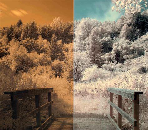 Image result for Infrared Photography Tutorial