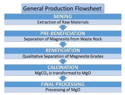 Use of Biomass as Alternative Fuel in Magnesia Sector