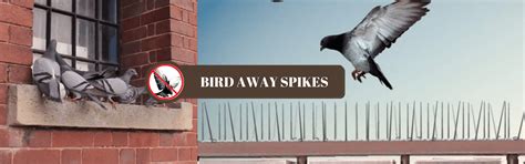 Bird Away Spikes - Best Pest Control Services In Delhi-NCR