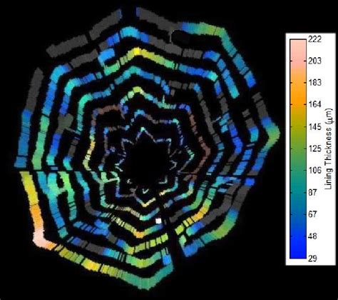 Algorithm 3D Model 的图像结果