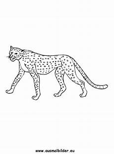 ausmalbilder tiere leopard ausmalbilder leopard leoparden malvorlagen ausmalbilder tiere leopard ausmalbilder leopard leoparden malvorlagen