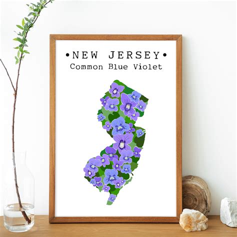 New Jersey State Flower Wall Art, Common Blue Violet Art Print, State ...