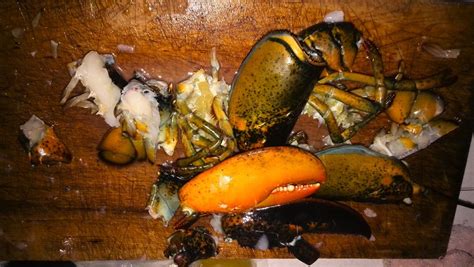 食材求精重在变化！波士顿龙虾的新“四大吃法” - 酷乐亚洲