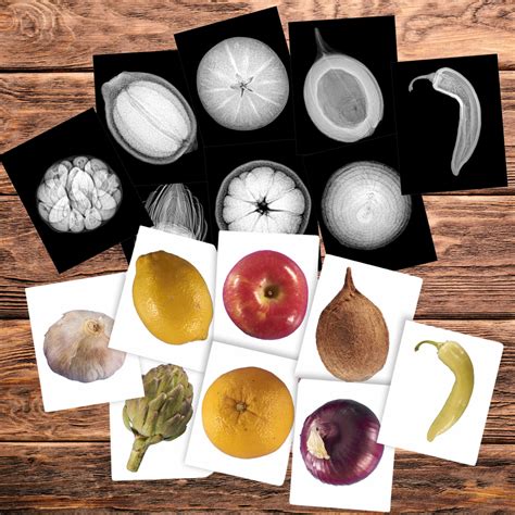 Are Plants X Ray Images Real?