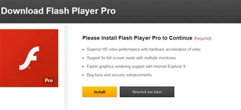 Image result for Flash Player Pro