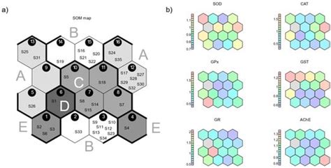 Applying Artificial Neural Networks to Oxidative Stress Biomarkers in ...
