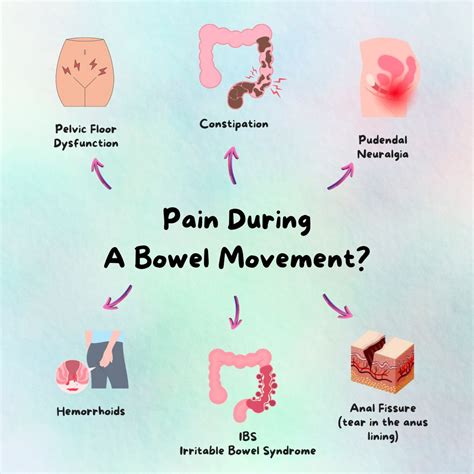 Pain during bowel movement: evaluation | Body Harmony Physical Therapy, PLLC posted on the topic ...