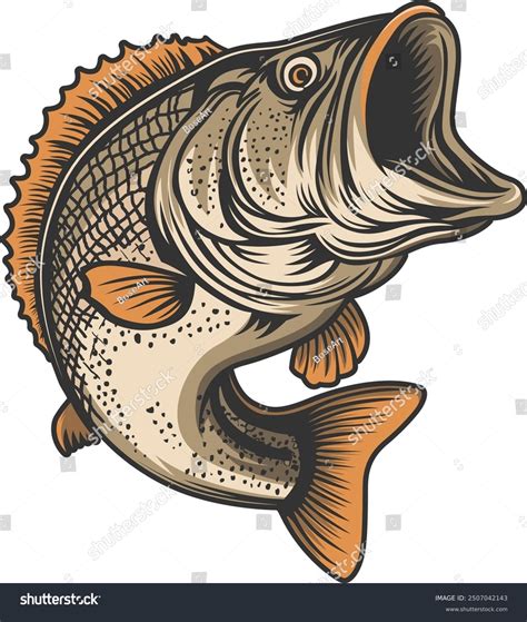 Bass Fish Clip Art Bass Fishing Clipart Images | Free Download | PNG