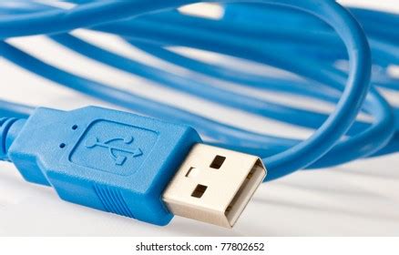 External Data Bus 的图像结果