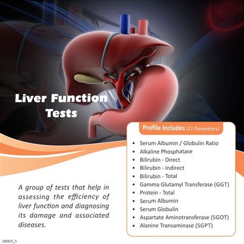 Image result for How to Assess Liver Function