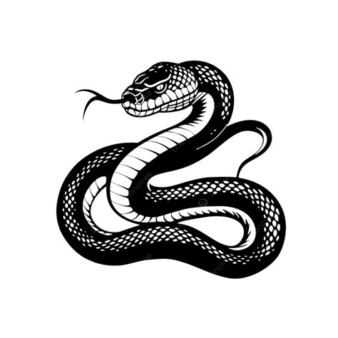 Symbol Of A Snake Black And White, Black And White, Black And White ...