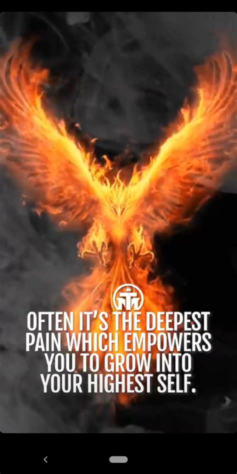 Pin by Sue Deibler on Phoenix Journeys with Sue | Inspirational quotes ...