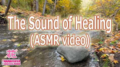 Image result for Water Stream ASMR