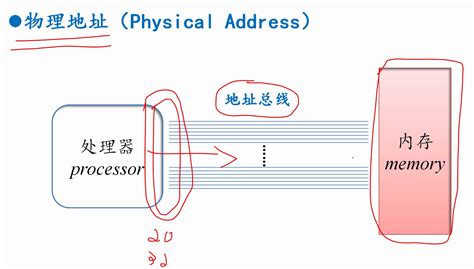 物理地址、有效地址、逻辑地址和线性地址_计算机组成原理 有效地址 物理地址-CSDN博客