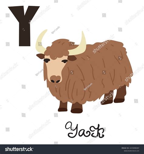 Educational Concept Yak Animal Letter Y Stock Vector (Royalty Free ...