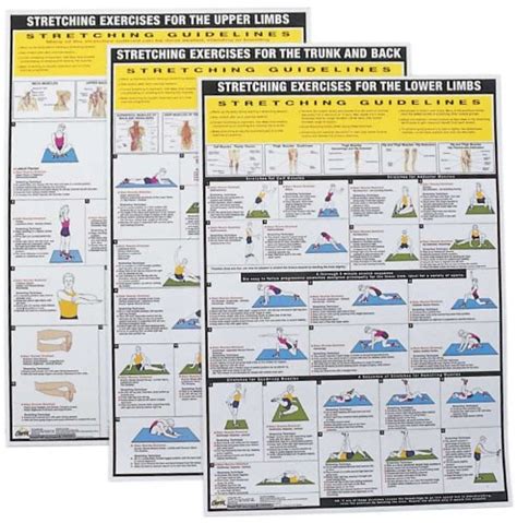 Buy Power Systems Stretching Charts Set Online at Low Prices in India ...