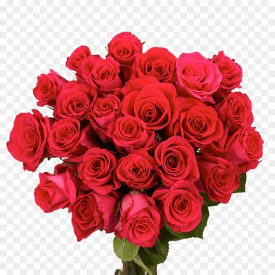 Birthday Roses Background PNG Image - Pngsource