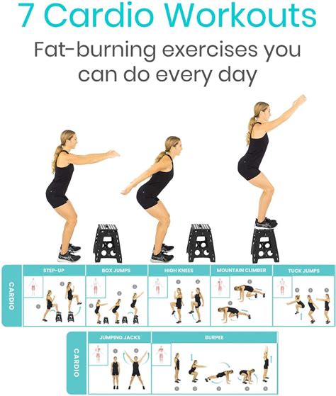 Vive Bodyweight Exercise Poster - Complete Home Gym India | Ubuy
