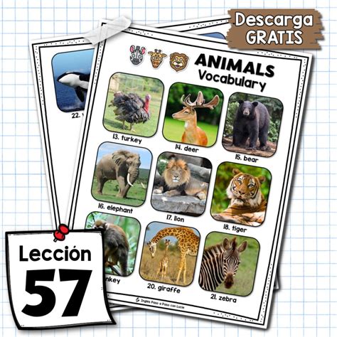 Los Animales en Inglés: Vocabulario y Conversación - Inglés Paso a Paso