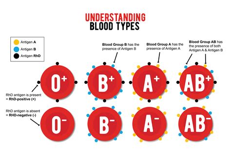 【遗传学知识】血型遗传规律表 - 知乎