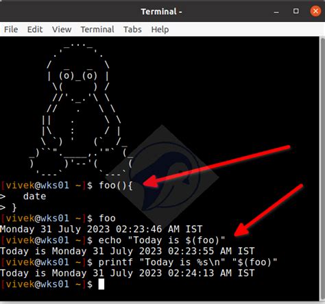 Image result for Echo in Unix Shell Script