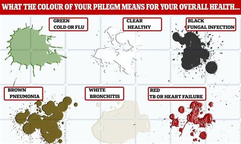 What does the colour of your phlegm mean? From a cold to pneumonia ...