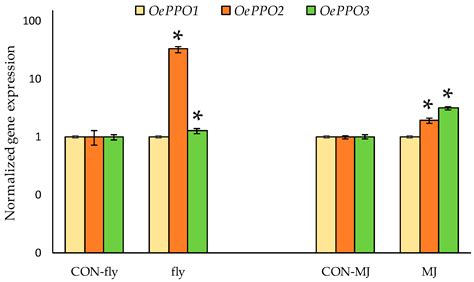 Olive Polyphenol Oxidase Gene Family