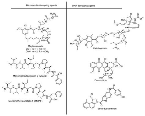 Linkers: An Assurance for Controlled Delivery of Antibody-Drug Conjugate