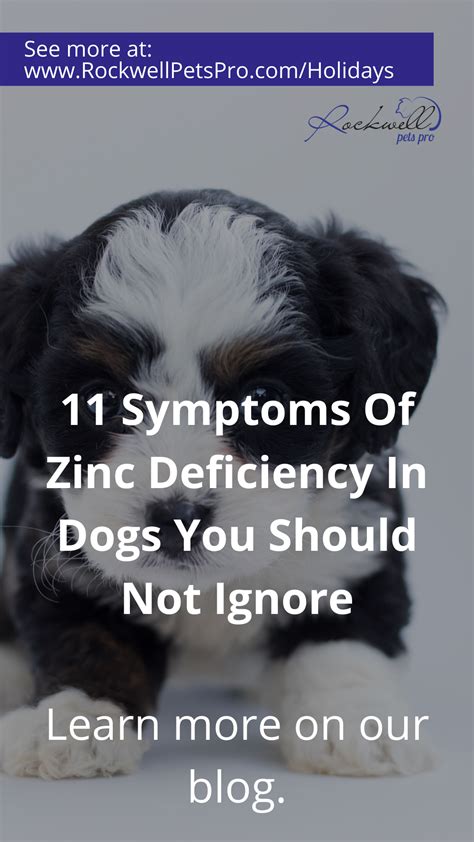 Zinc Deficiency Skin Disease Dogs at Robert Mosher blog