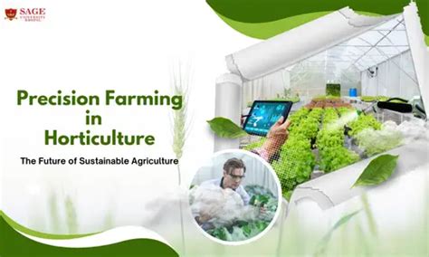 Role of Artificial Intelligence in Agriculture