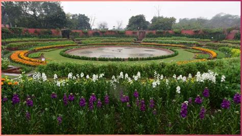 एक बार फिर पर्यटकों के लिए खुला अमृत उद्यान | Amrit udyan reopen ...