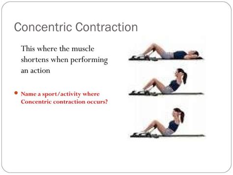 Image result for Contraction Types Exercise