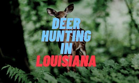 Deer Hunting Zones Louisiana at Leonard Gagliano blog