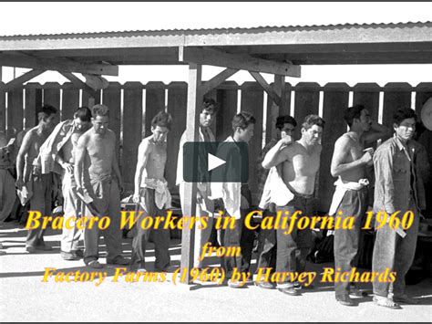 Alien Laborer 的图像结果