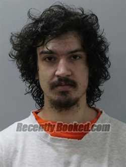 MATTHEW MOSES Arrest Record & Booking Info - Blaine County, Idaho ...