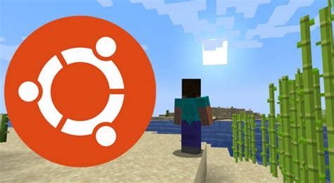 Setup Minecraft JavaServer Linux 的图像结果