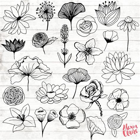 This item is unavailable - Etsy | Flower sketches, Flower drawing, Art ...