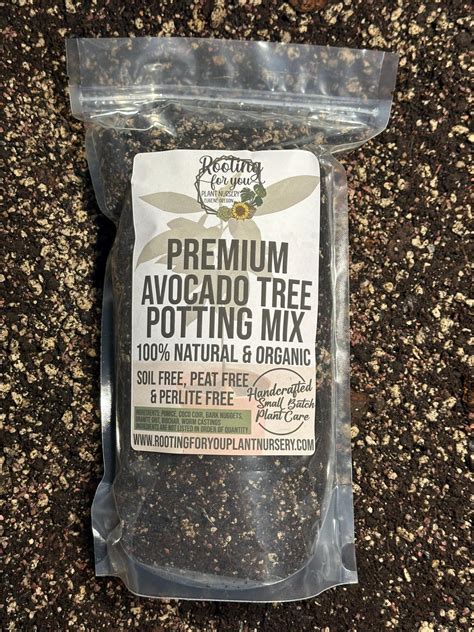 AVOCADO Premium Soil Less Potting Mix Oregon Licensed Nursery - - Etsy
