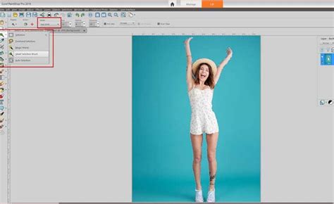 Image result for Remove Background in Corel