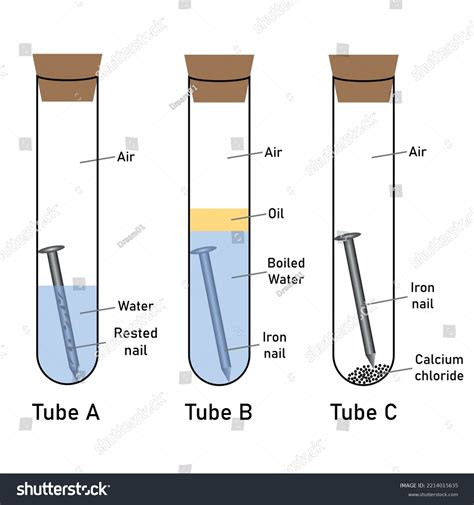 Image result for Rusting Science