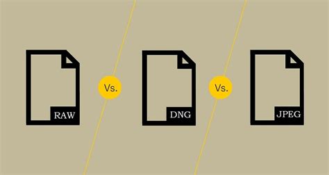 RAW vs. JPEG vs. DNG: Find out Which Image Format is Best for You