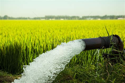 南强镇：借调防汛抗旱设备 抽水灌溉润农田