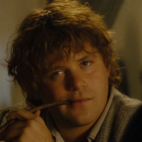 Best 12 Samwise gamgee – Artofit