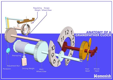 Essential Parts of a Grandfather Clock (Pendulum Clock) with Diagram ...
