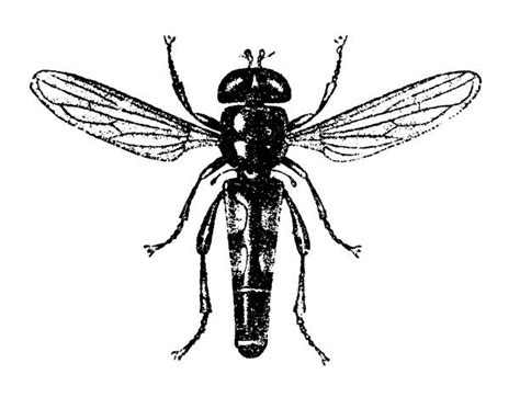 Image result for Debug Block