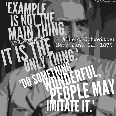 Follow the Example 的图像结果