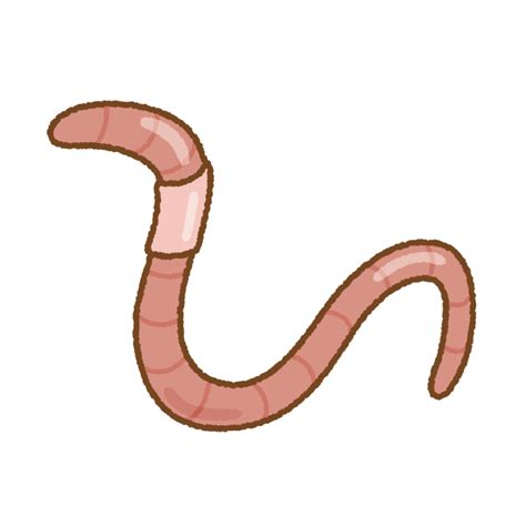 Image result for Coding Interview Python Cheat Sheet
