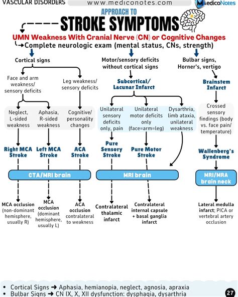 Image result for Contralateral Weakness
